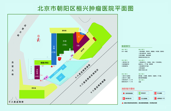 我要操B黄色视频北京市朝阳区桓兴肿瘤医院平面图